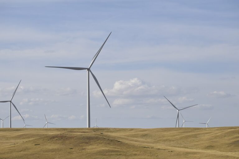 Énergie verte : commerciaux transition écologique