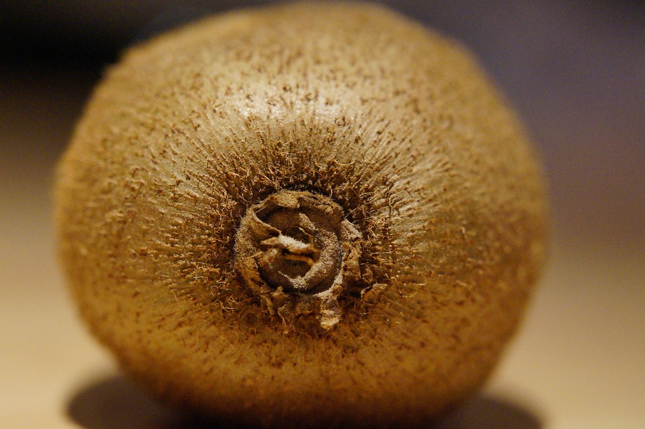 découvrez comment assurer un suivi efficace après un entretien d'embauche pour renforcer votre candidature et laisser une impression positive à votre futur employeur.