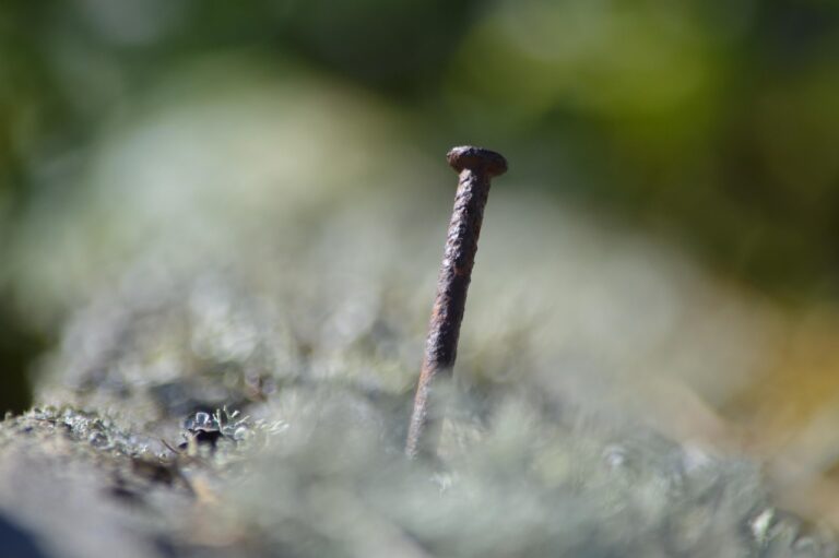 Négociation salariale : techniques de commercial